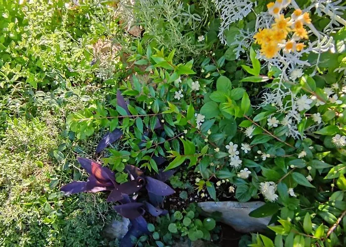 Luna 22 Апартаменти Пореч