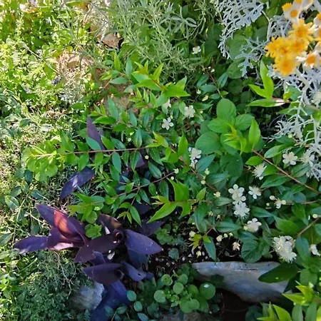 Luna 22 Апартаменты Пореч